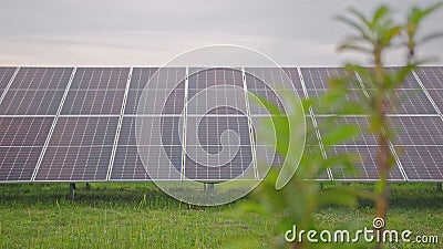 Large Electric Photovoltaic Solar Panel Array Stock Photo