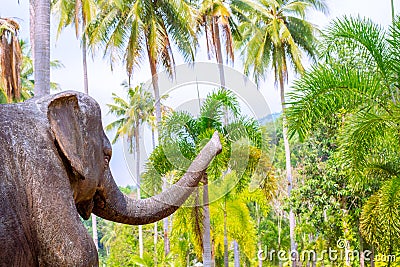 Large elephant with a long trunk in the jungle, near coconut trees and tropical plants, copy space. Tourism in Asia Stock Photo