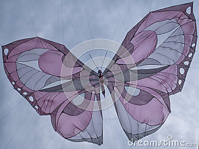 Large fabric butterfly Stock Photo