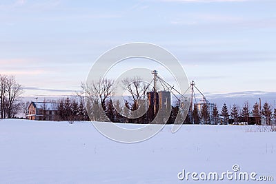 Large farming property with grain elevators and other buildings behind mixed trees Stock Photo