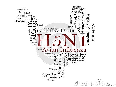 Avian Influenza Virus H5N1 Outbreaks in Poultry Stock Photo