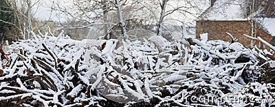 Large firewood stack in winter covered with snow Stock Photo