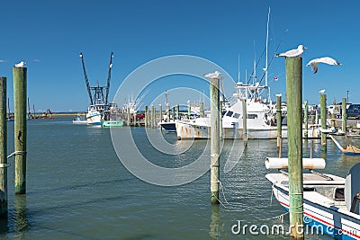 Large fishing boats at the pier in a North Carolina bay Editorial Stock Photo