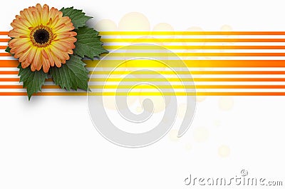 Large flower orange Gerbera on leaves with transparent circles Stock Photo