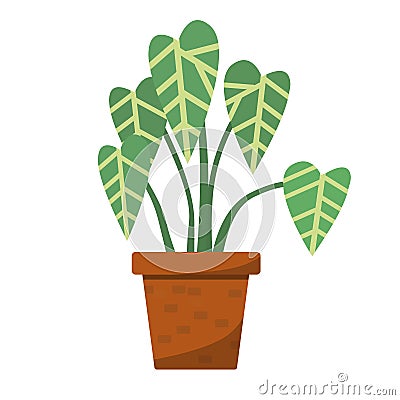 A large flower with striped leaves in a clay pot Vector Illustration