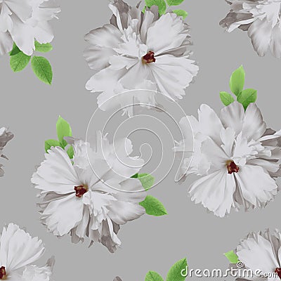 Large flowers on grey background Stock Photo