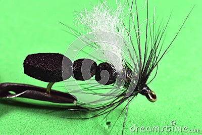Large foam Ant trout fly imitation Stock Photo