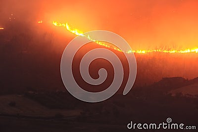 Large forest wildfire at night Editorial Stock Photo