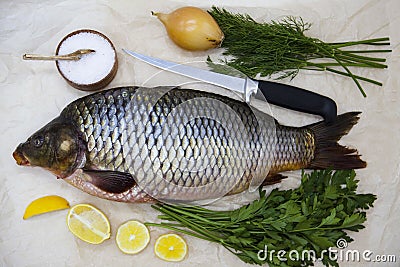 A large fresh carp live fish lying on a on paper background with a knife and slices of lemon and with salt dill Stock Photo