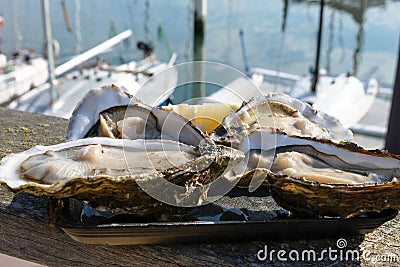 Large fresh oysters in the background of a yacht parking in the Belgian city of Ostend. Seafood. Tasty lunch while traveling. Stock Photo