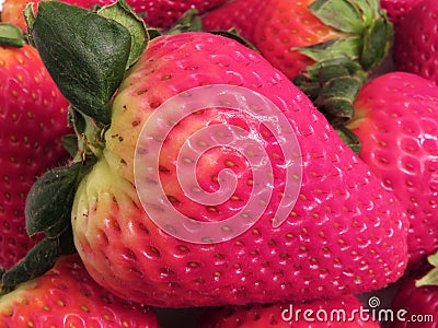 Large Fresh Pink Strawberry Stock Photo