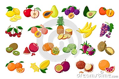 Large fruit collection detailed vector illustrations isolated on white background. Juicy pitaya, durian, carambola Vector Illustration