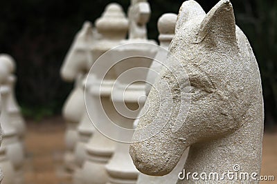 Large Garden Chess Piece Stock Photo