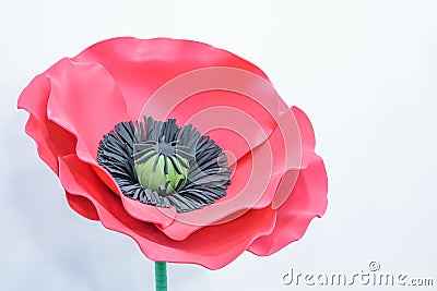 Large Giant Paper Flowers. Big pink, red poppy made from paper Stock Photo