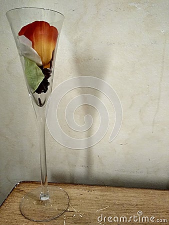 Large glass with flower in Stock Photo