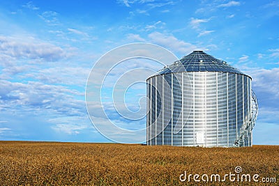 Large grain bin Saskatchewan, Canada Stock Photo