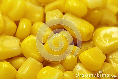 Large grain corn background Stock Photo