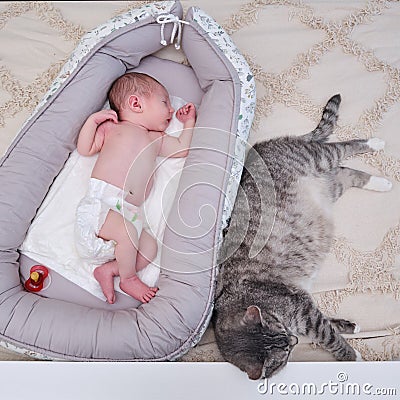 A large gray cat next to a newborn baby to a cocoon on the crib Stock Photo