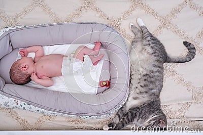 A large gray cat next to a newborn baby to a cocoon on the crib Stock Photo