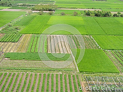 large green farm land Stock Photo