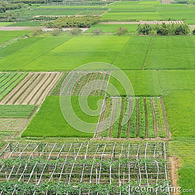 large green farm land Stock Photo