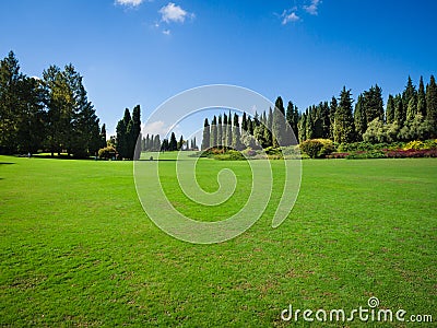 Large green lawn at the edge of the forest. Stock Photo