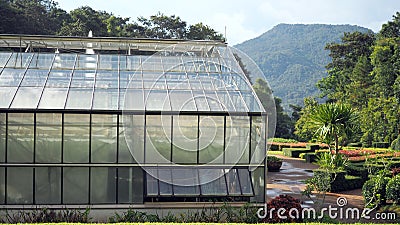 Large greenhouse located in the countryside in Chiang Mai, Thailand. Editorial Stock Photo