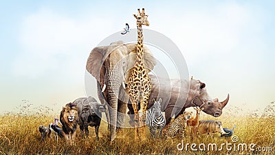 Safari Animals in Africa Composite Stock Photo