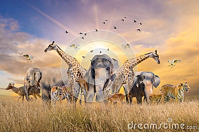 Large group of african safari animals. Wildlife conservation concept Stock Photo