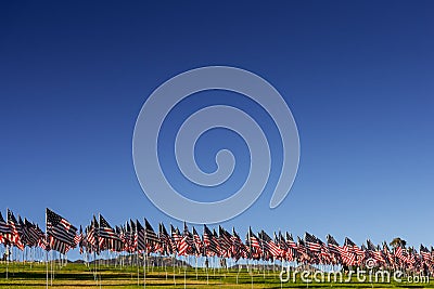 A large group of American flags. Veterans or Memorial day display Editorial Stock Photo