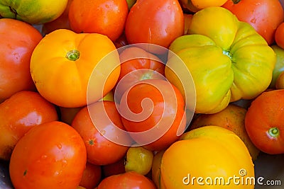 Large group of multicolored, organic tomatoes at farm market Stock Photo