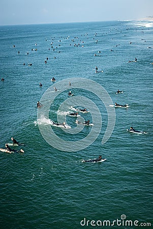 A large group of unmasked surfers paddle out and catch waves on Thanksgiving Day in Huntington Beach Editorial Stock Photo