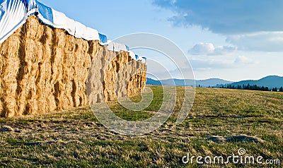 Large hay bails Stock Photo