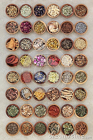 Large Herbal Medicine Collection Stock Photo