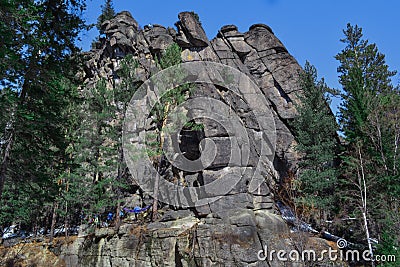 Large high rough climbing rock Vityaz in Siberian forest with conifers in winter in the light of sun. People climbers on big cliff Stock Photo