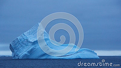 Large iceberg with penguins floating in the Southern Ocean, Antarctica Stock Photo