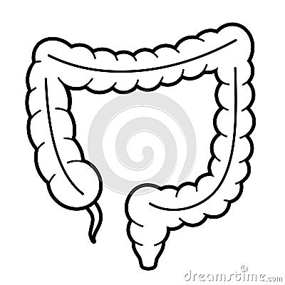 Large intestine anatomy vector icon Vector Illustration