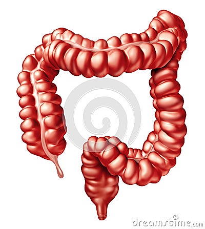 Large Intestine Cartoon Illustration