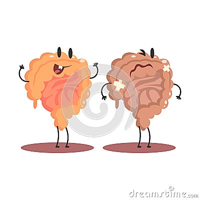 Large Intestine Human Internal Organ Healthy Vs Unhealthy, Medical Anatomic Funny Cartoon Character Pair In Comparison Vector Illustration