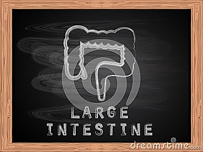 Large intestine icon on blackboard flat design. Vector Illustration