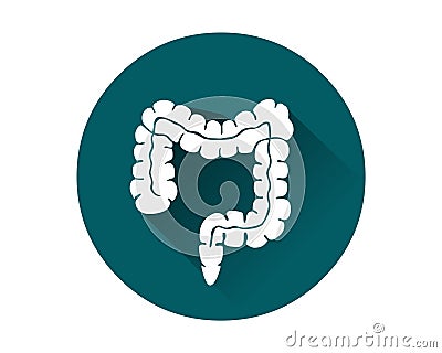 Large intestine icon vector.Human internal organ Vector Illustration