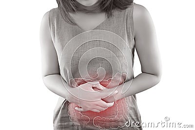 Large intestine Stock Photo