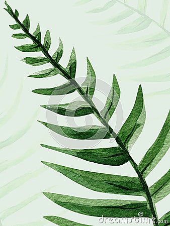 Large leaf fern tropical watercolor background Cartoon Illustration