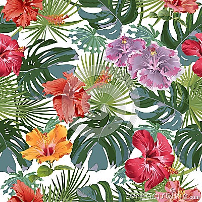 Large leaves of tropical plants with hibiscus flowers. Decorative composition on a white background. Bright picture. Floral motifs Vector Illustration