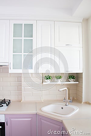 Large light pink kitchen. Interior of a pink kitchen. Wooden Kitchen Editorial Stock Photo