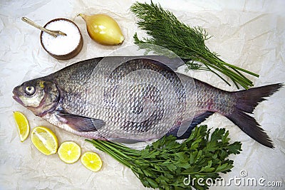 A large live bream river fish fish lying on a paper background with and slices of lemon and with salt dill Stock Photo