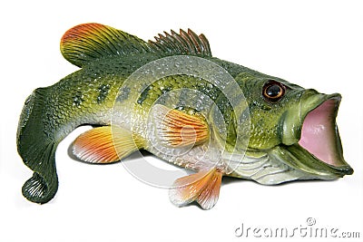 Large Mouth Bass Stock Photo