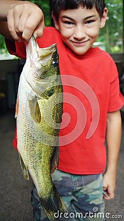 Large Mouth Bass Fish Stock Photo