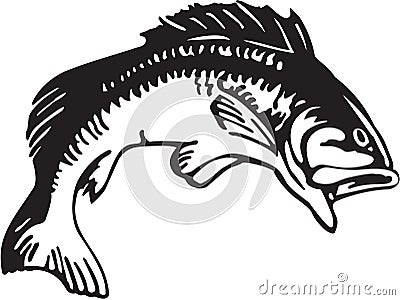 Large Mouth Bass Illustration Vector Illustration