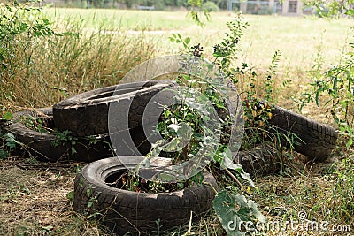 SHINES OF THE MACHINE FROM WHICH THE WEEDS GREW Stock Photo